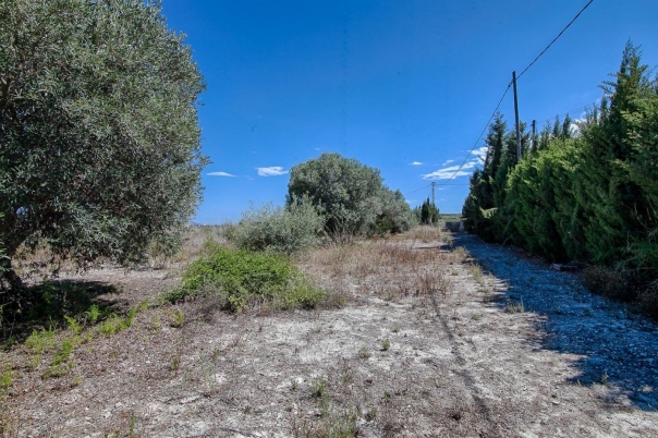 5 bed finca in Moraira