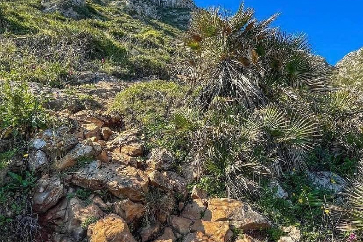 La Cova Tallada