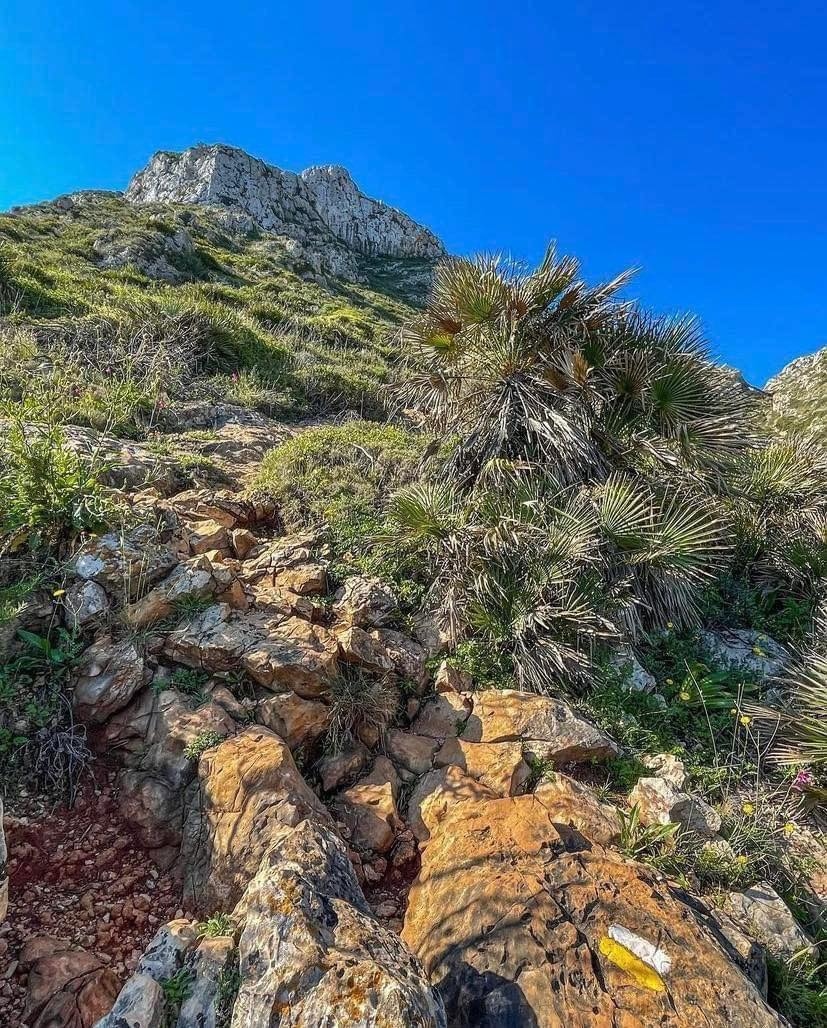La Cova Tallada