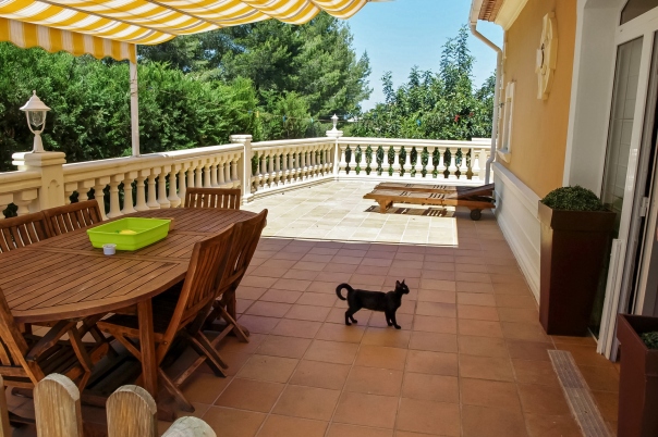 11 bed villa in Denia