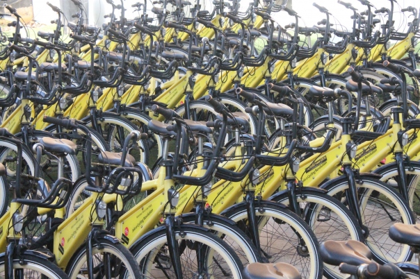 2GoBike - Javea Bike Hire & E-Bike Rentals