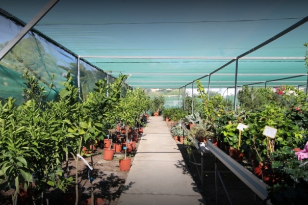 La Merced Garden Centre