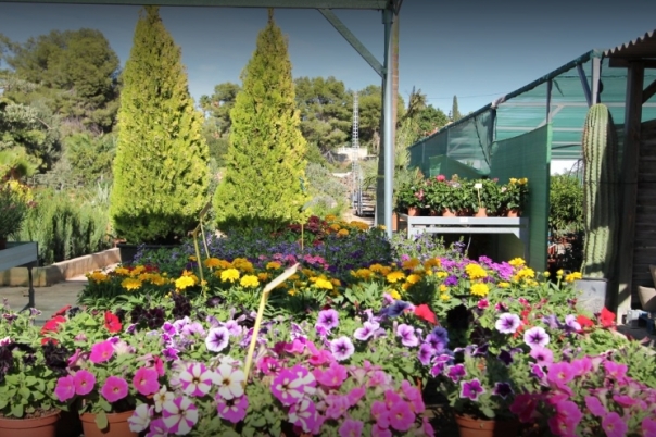 La Merced Garden Centre