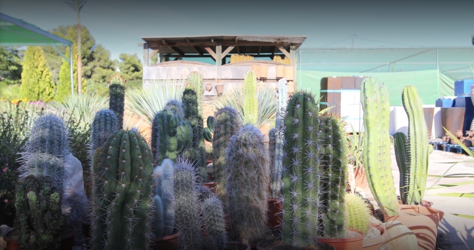 La Merced Garden Centre