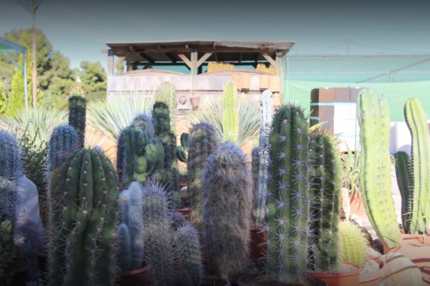 La Merced Garden Centre