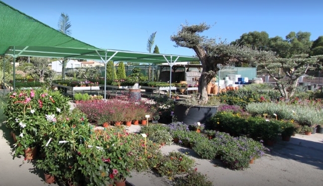 La Merced Garden Centre
