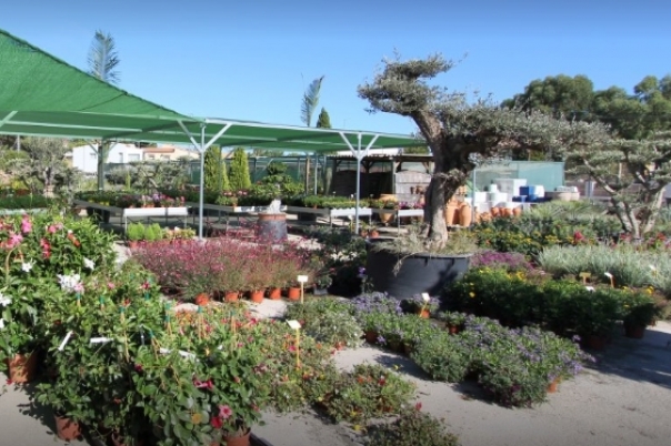 La Merced Garden Centre