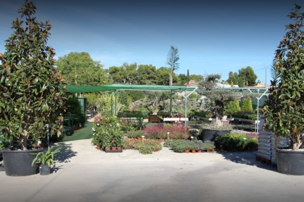 La Merced Garden Centre