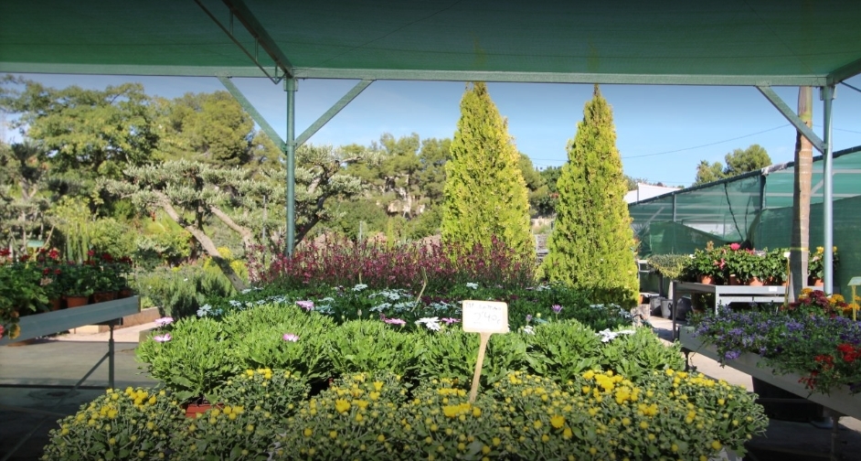 La Merced Garden Centre