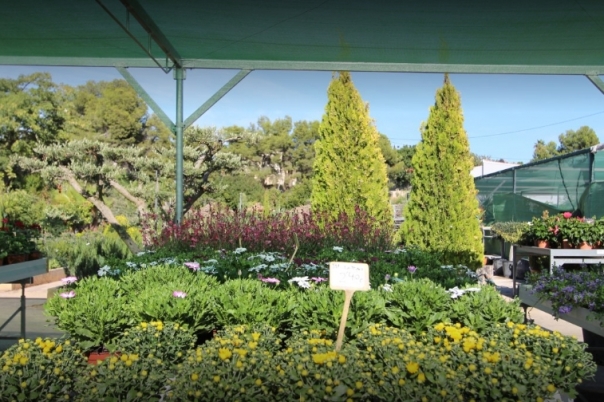 La Merced Garden Centre