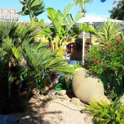 Everest Spice Javea - Indian / Himalayan Restaurant