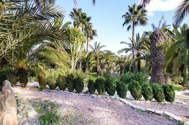 16 bed villa in Calp