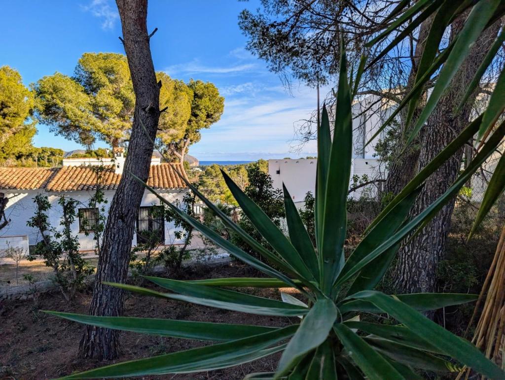 3 bed villa in Moraira