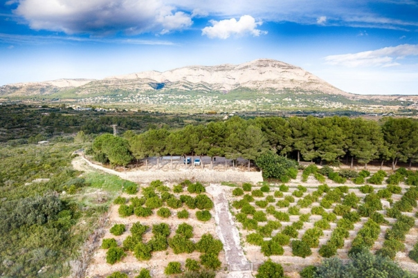 4 bed finca in Gata de Gorgos