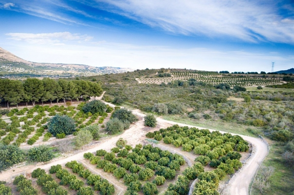 4 bed finca in Gata de Gorgos