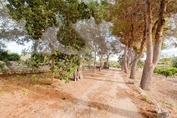 4 bed finca in Gata de Gorgos