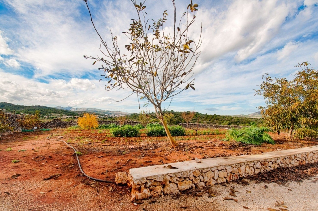 4 bed finca in Gata de Gorgos