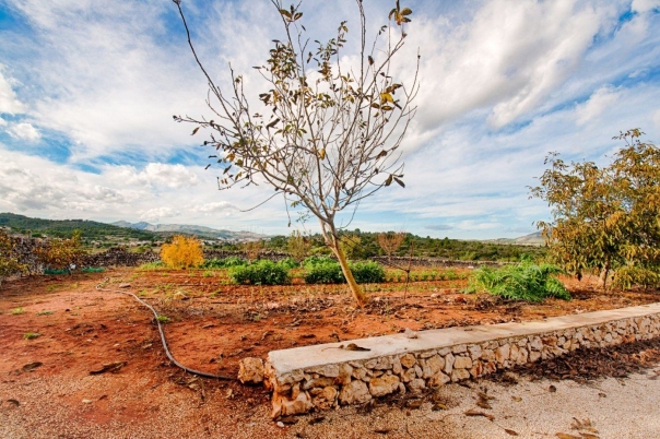 4 bed finca in Gata de Gorgos