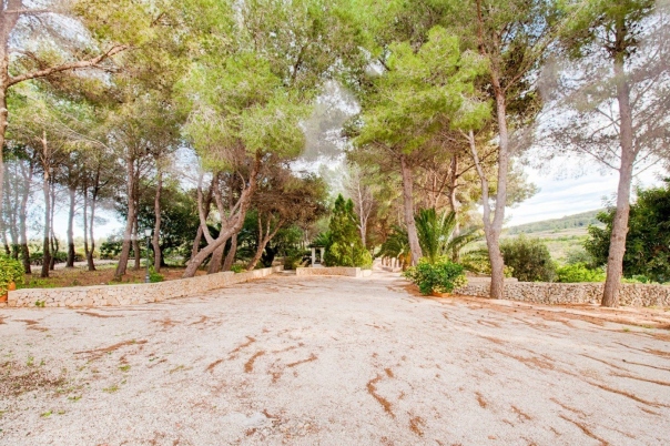 4 bed finca in Gata de Gorgos