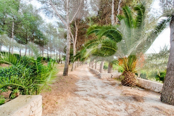 4 bed finca in Gata de Gorgos