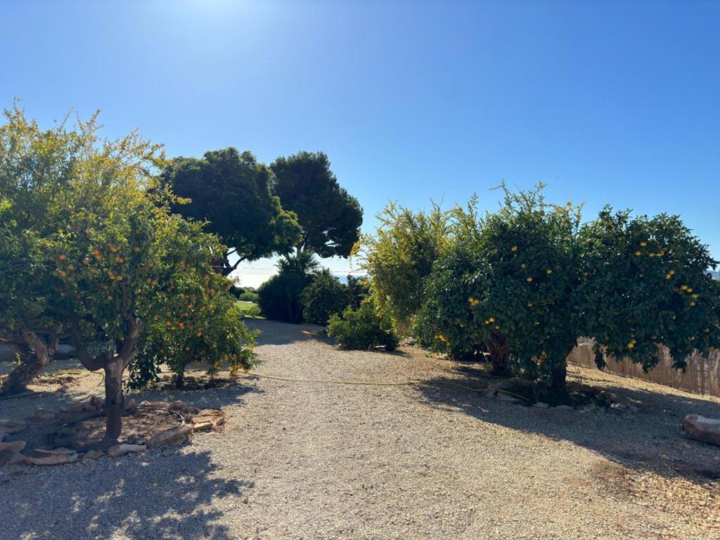 7 bed villa in Altea