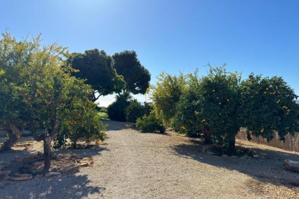 7 bed villa in Altea