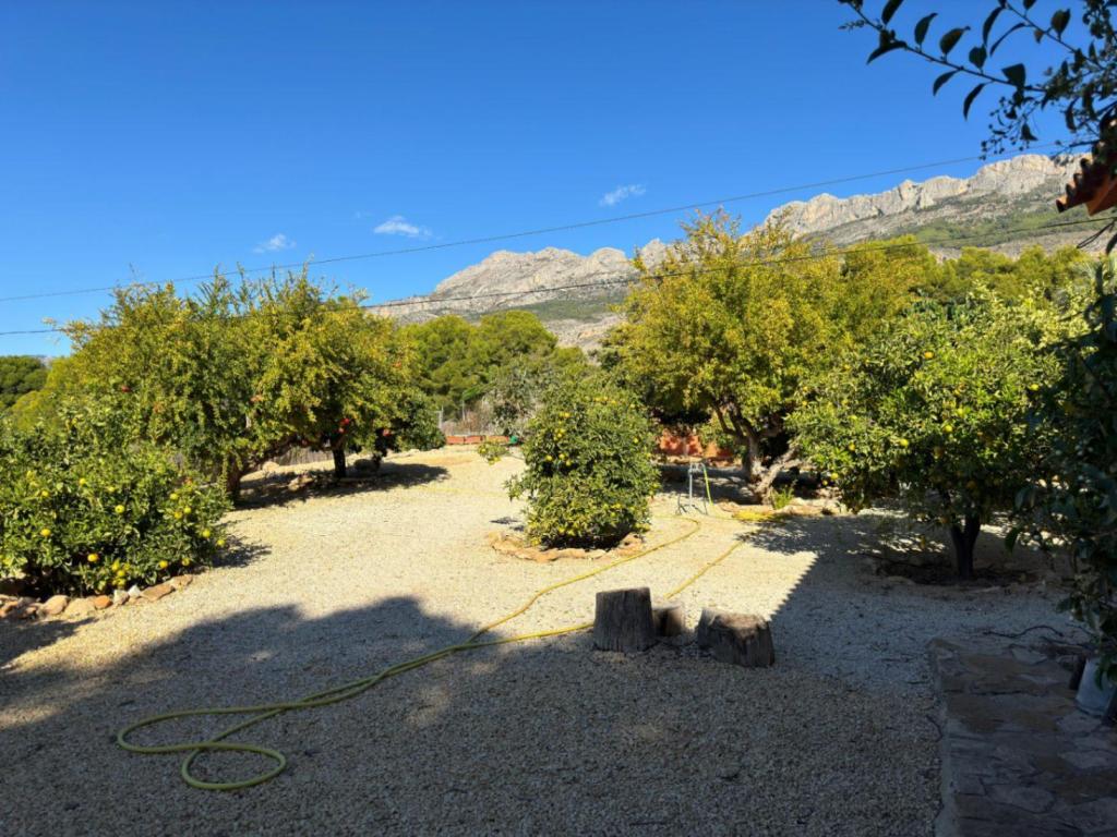 7 bed villa in Altea