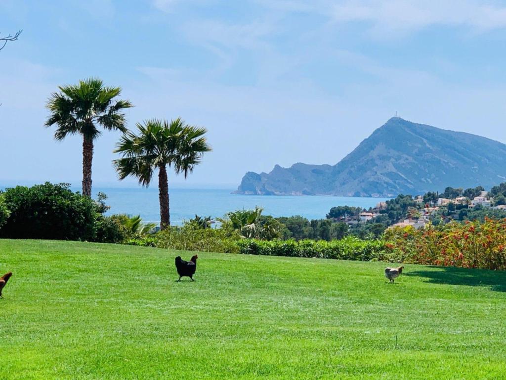 7 bed villa in Altea