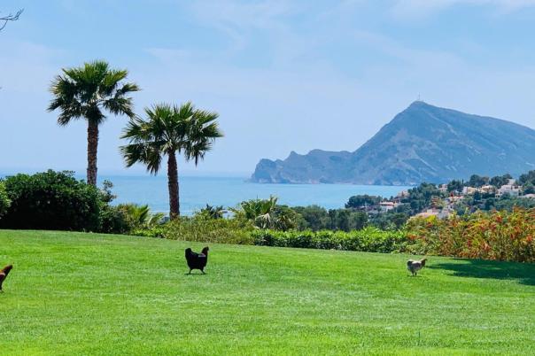 7 bed villa in Altea