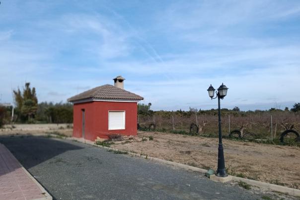 6 bed apartment in Elche/Elx