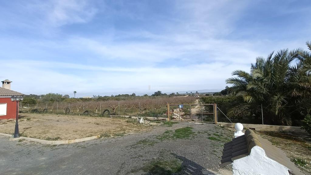 6 bed apartment in Elche/Elx