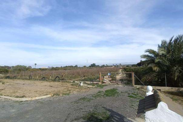 6 bed apartment in Elche/Elx