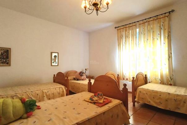 6 bed apartment in Elche/Elx