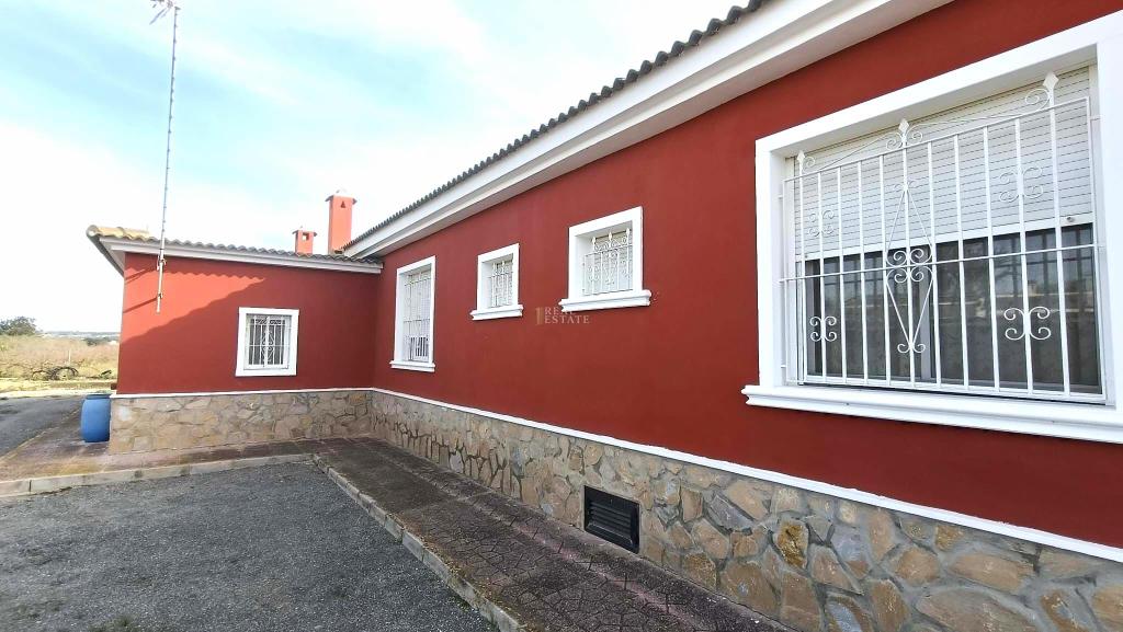 6 bed apartment in Elche/Elx