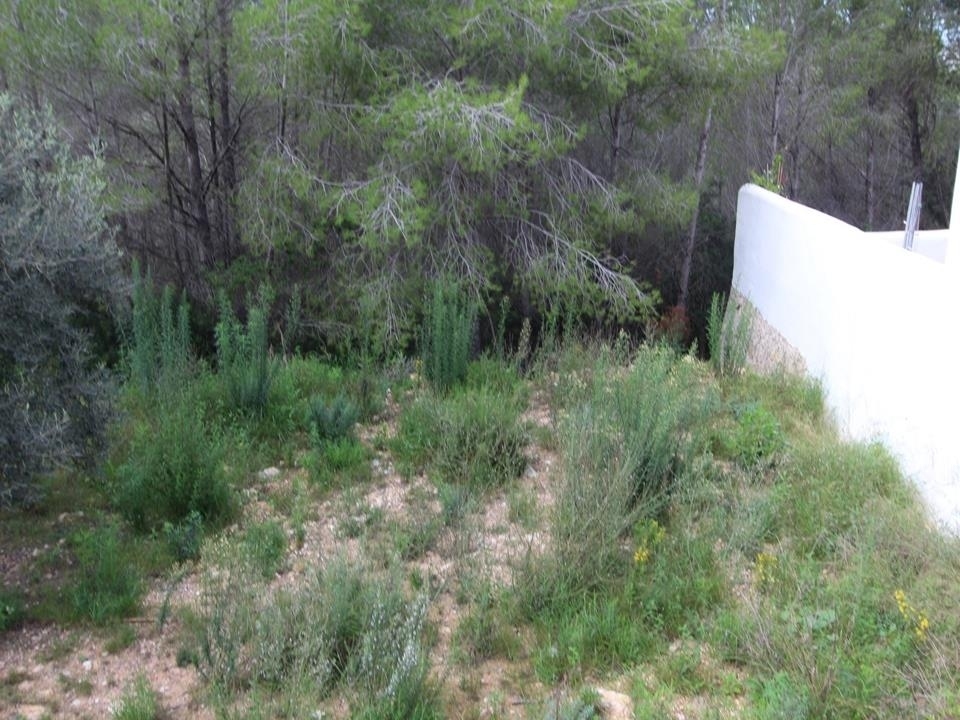 plot in Moraira