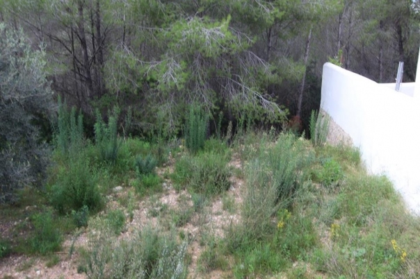 plot in Moraira
