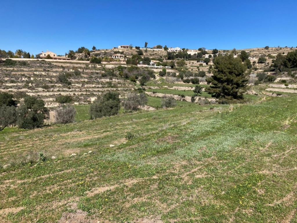 plot in Benissa