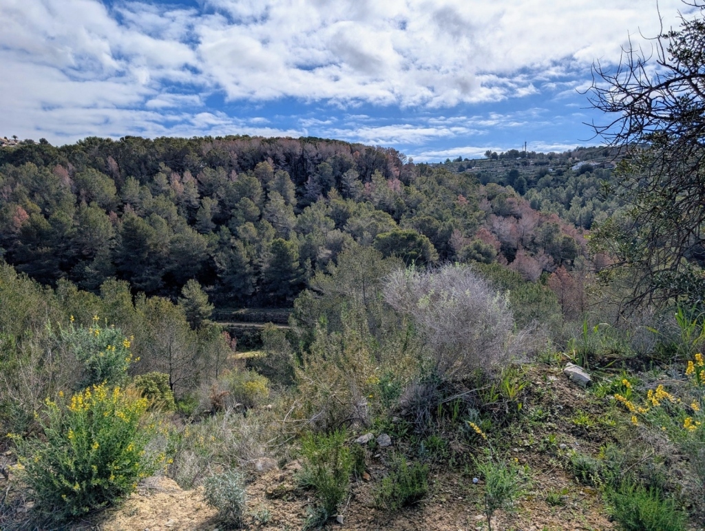 plot in Benissa
