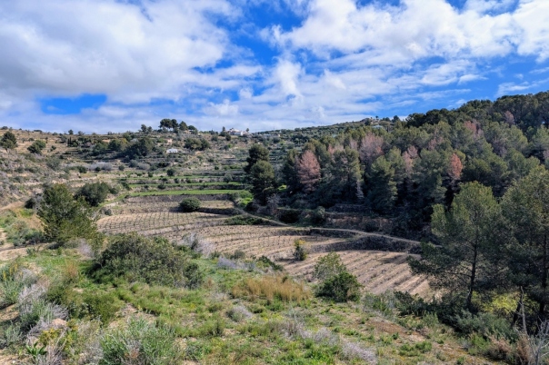 plot in Benissa