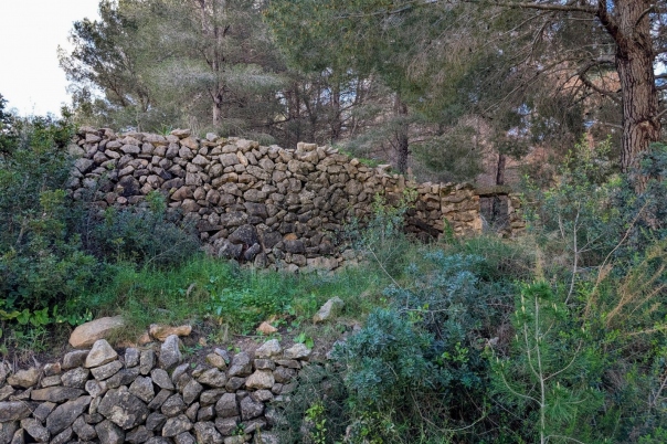plot in Benissa