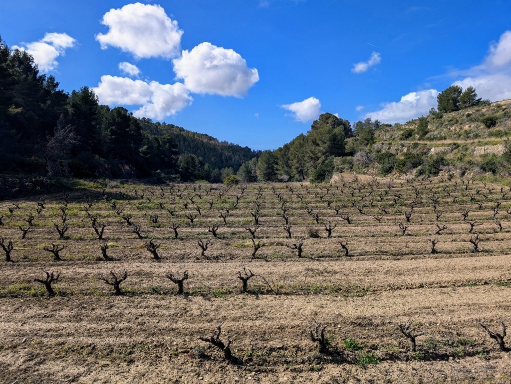plot in Benissa