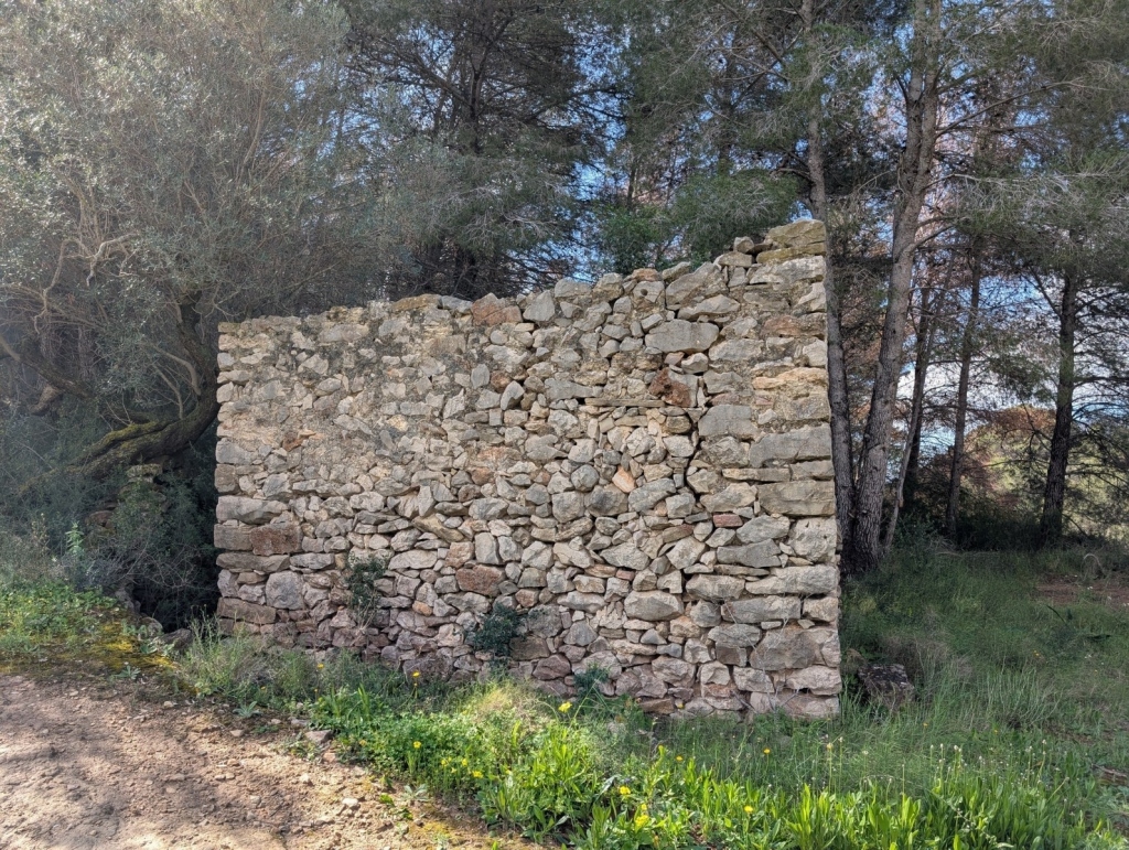 plot in Benissa