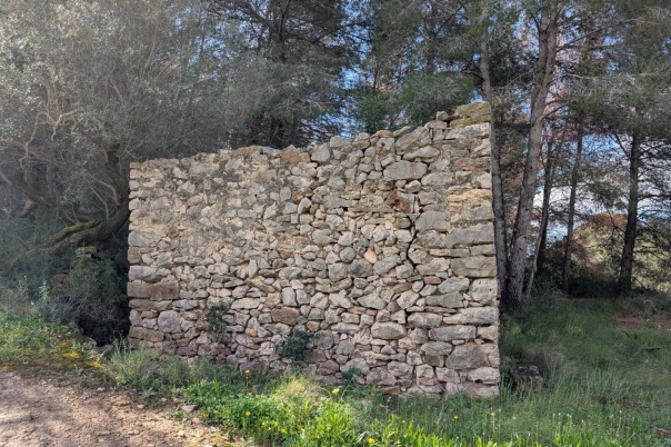plot in Benissa