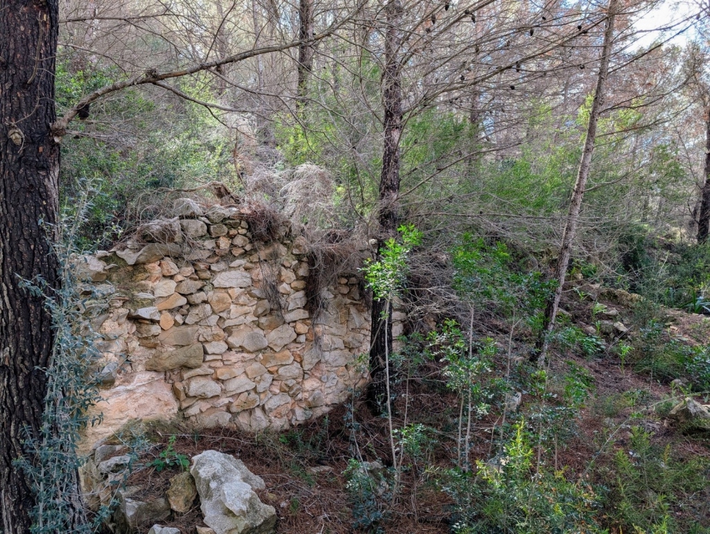 plot in Benissa