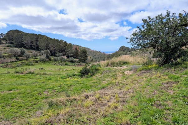 plot in Benissa