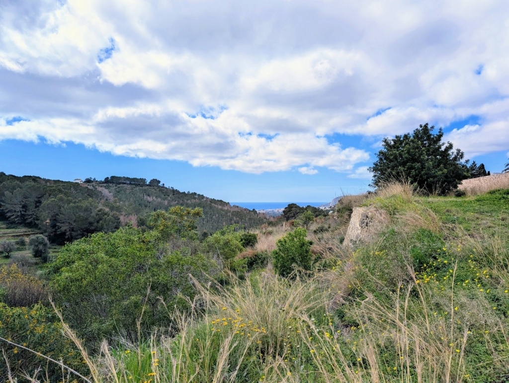 plot in Benissa