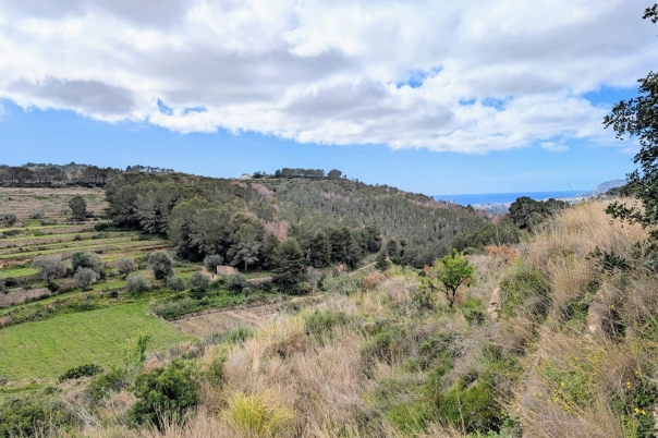 plot in Benissa