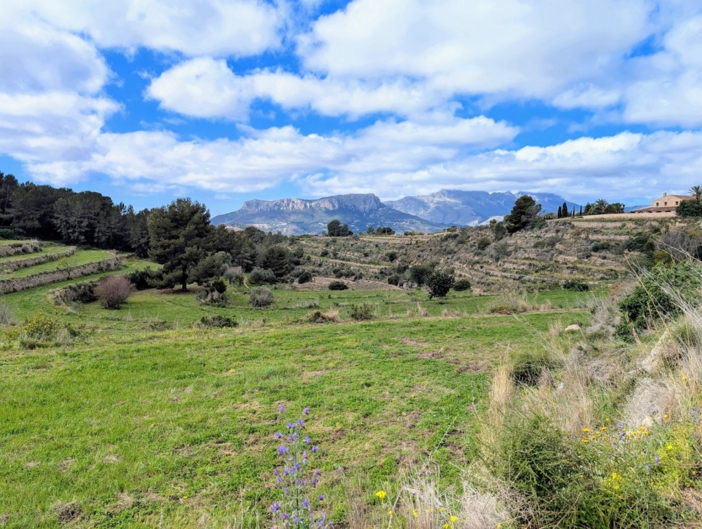 plot in Benissa