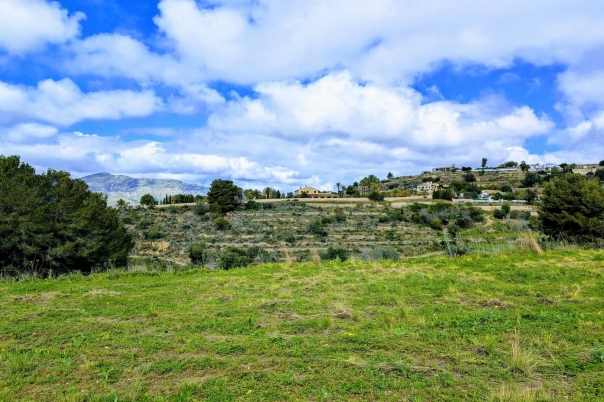 plot in Benissa