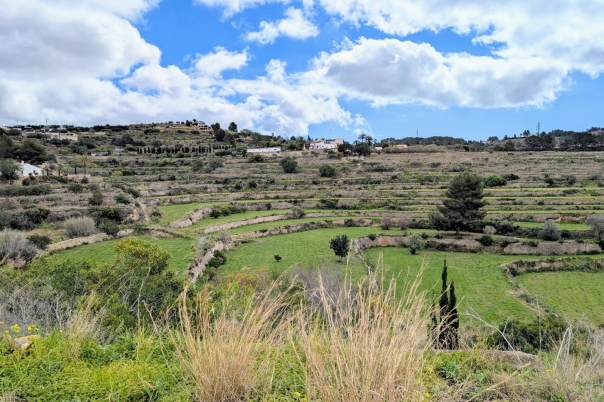 plot in Benissa